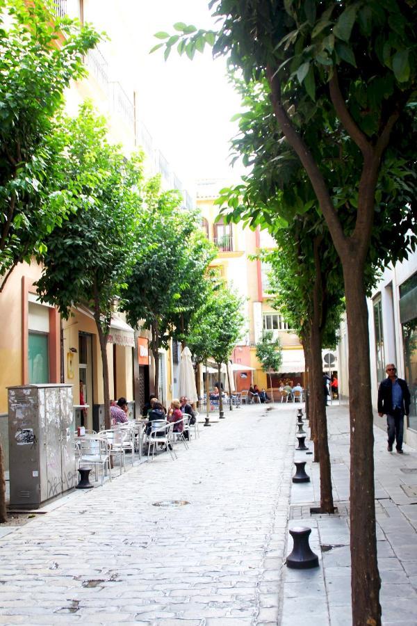 דירות סביליה Plaza Nueva Terraza מראה חיצוני תמונה